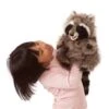 Folkmanis Puppet - Raccoon 1 Folkmanis Puppet - Raccoon -Plush Toy Store FolkmanisPuppet Raccoon 1