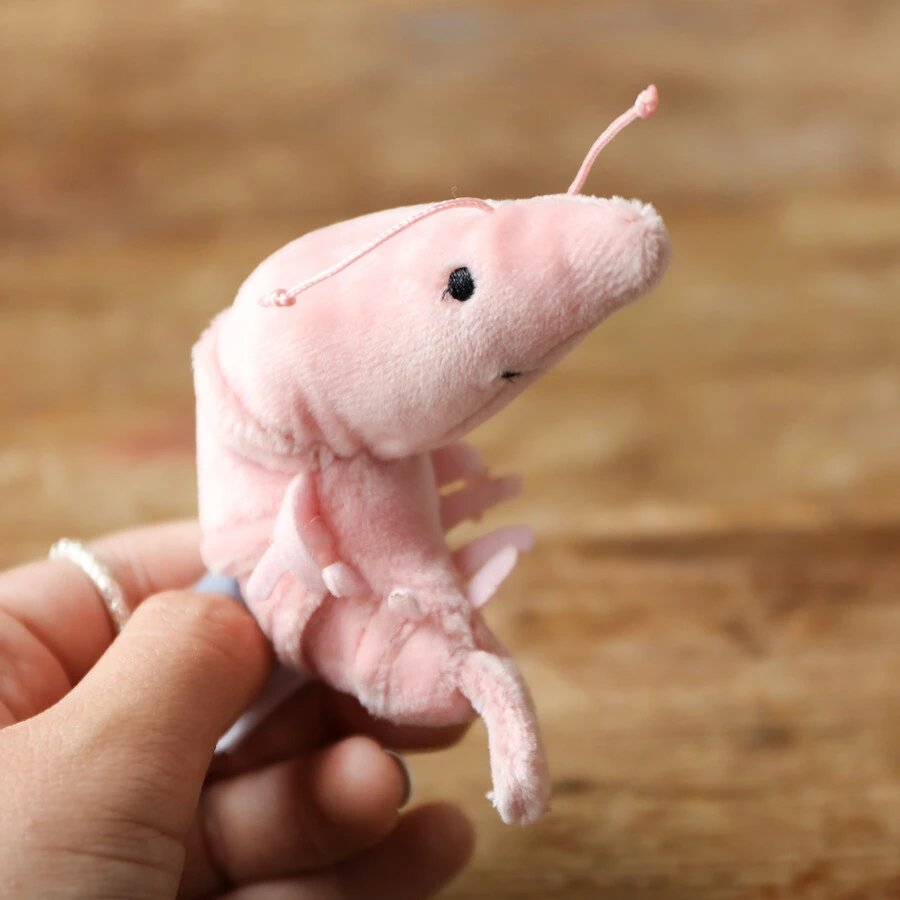 Jellycat Sensational Seafood Shrimp Soft Toy 4 Jellycat Sensational Seafood Shrimp Soft Toy - Image 2